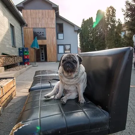 Fair And Square Hostel Belgrade