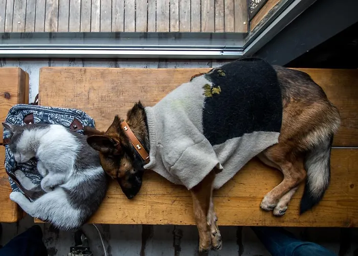 Hostal Fair And Square Belgrado